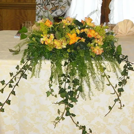 Principe كورتينا دامبيتزو