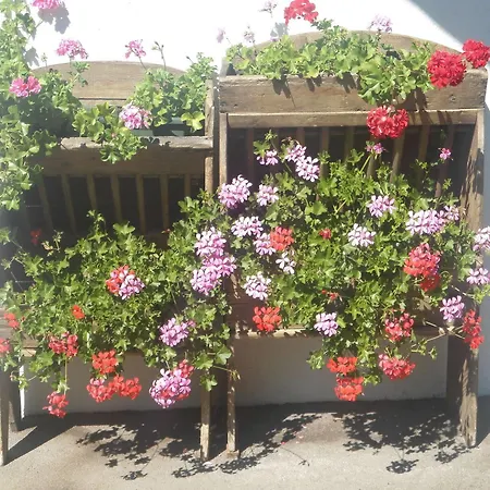 Principe 3* كورتينا دامبيتزو