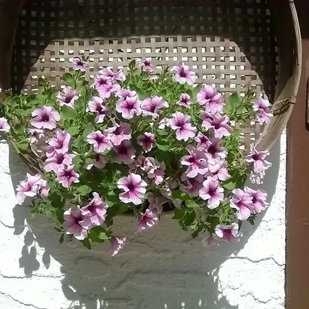 فندق Principe كورتينا دامبيتزو