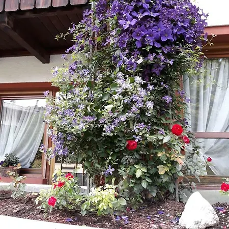 فندق Principe كورتينا دامبيتزو